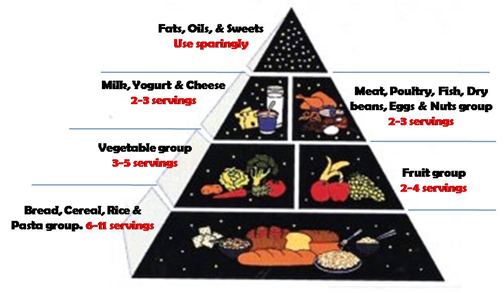 Food guide pyramid